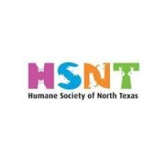 waggin tails benbrook texas|HSNT Waggin Tails (@HSNTWagginTails) .